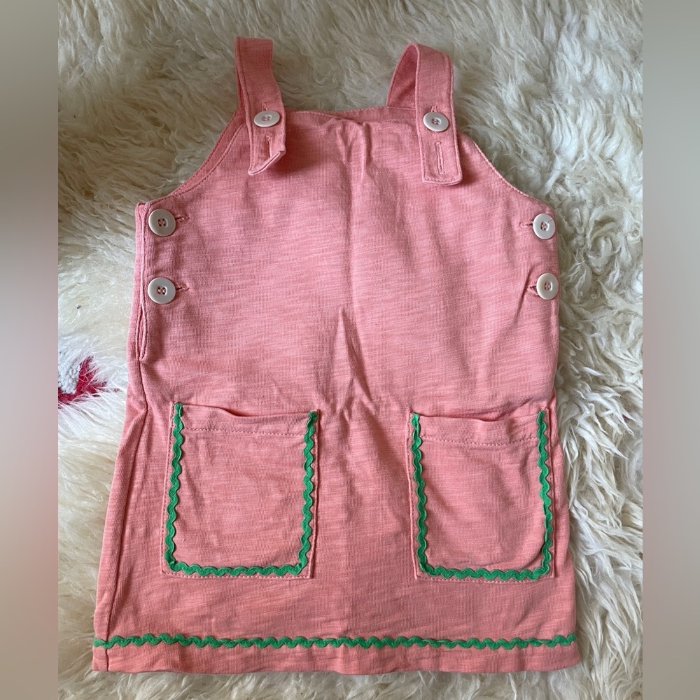 Misha & Puff Rickrack Swing Set Dress